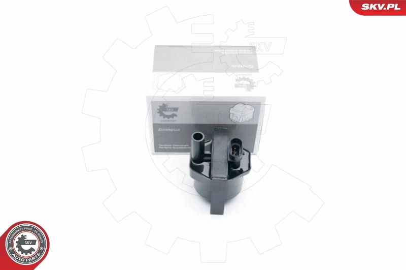 Ignition Coil
